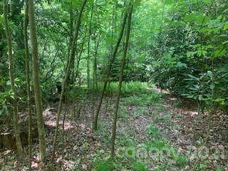 20 Acres Off Vineyard Loop - Photo 1