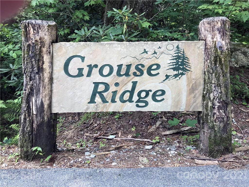 Lot 2 Grouse Ridge Lane - Photo 1