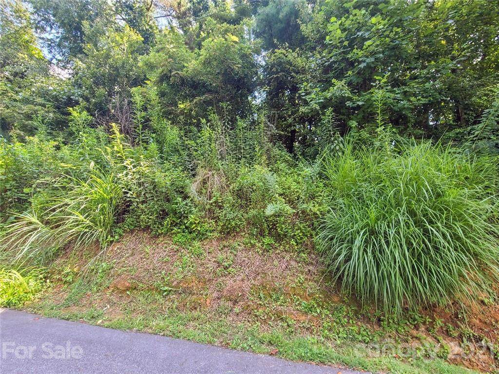 99999 Cherry Meadows Way - Photo 1