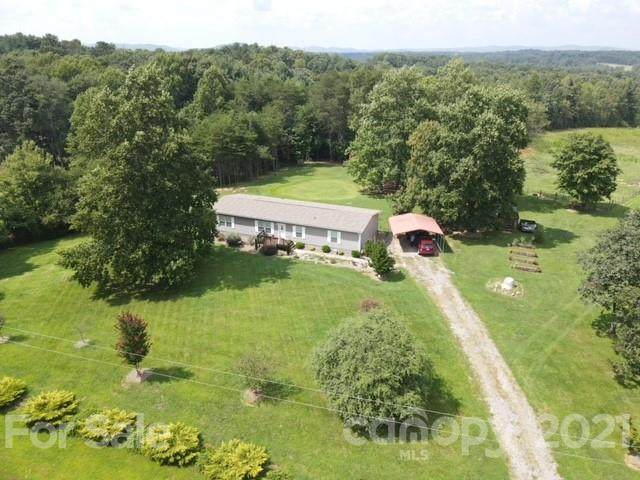 1061 Eupeptic Springs Road - Photo 1