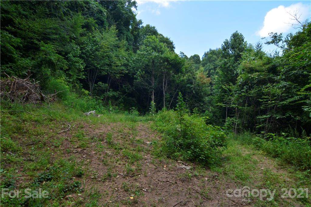 181 Bearwallow Trail - Photo 1