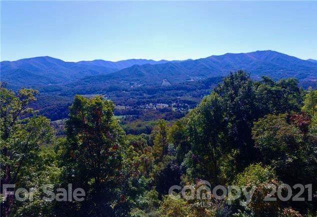 Lot 132 Woody Lane - Photo 1