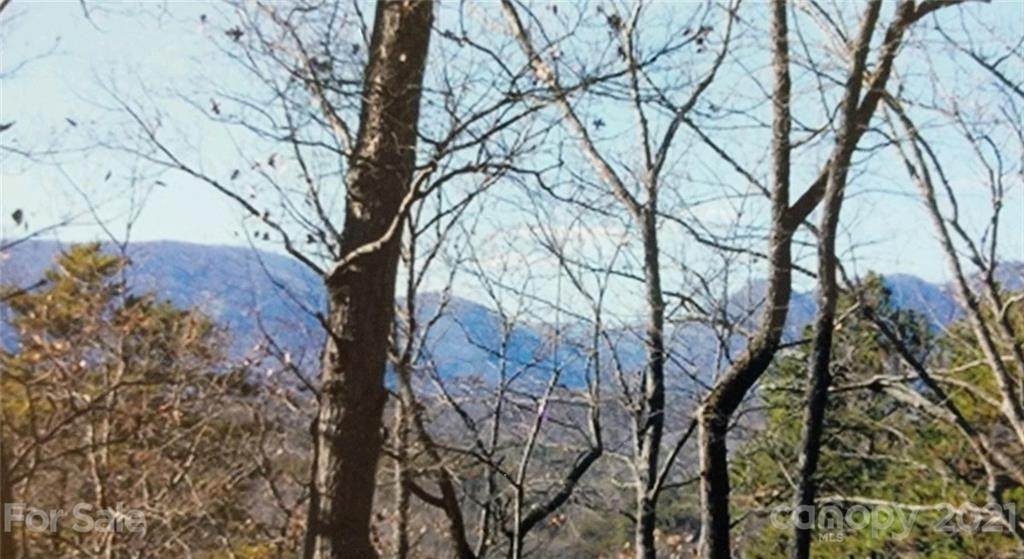Lot 231 Amys Ridge Road - Photo 1