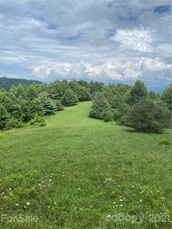 2465 Grassland Parkway - Photo 1