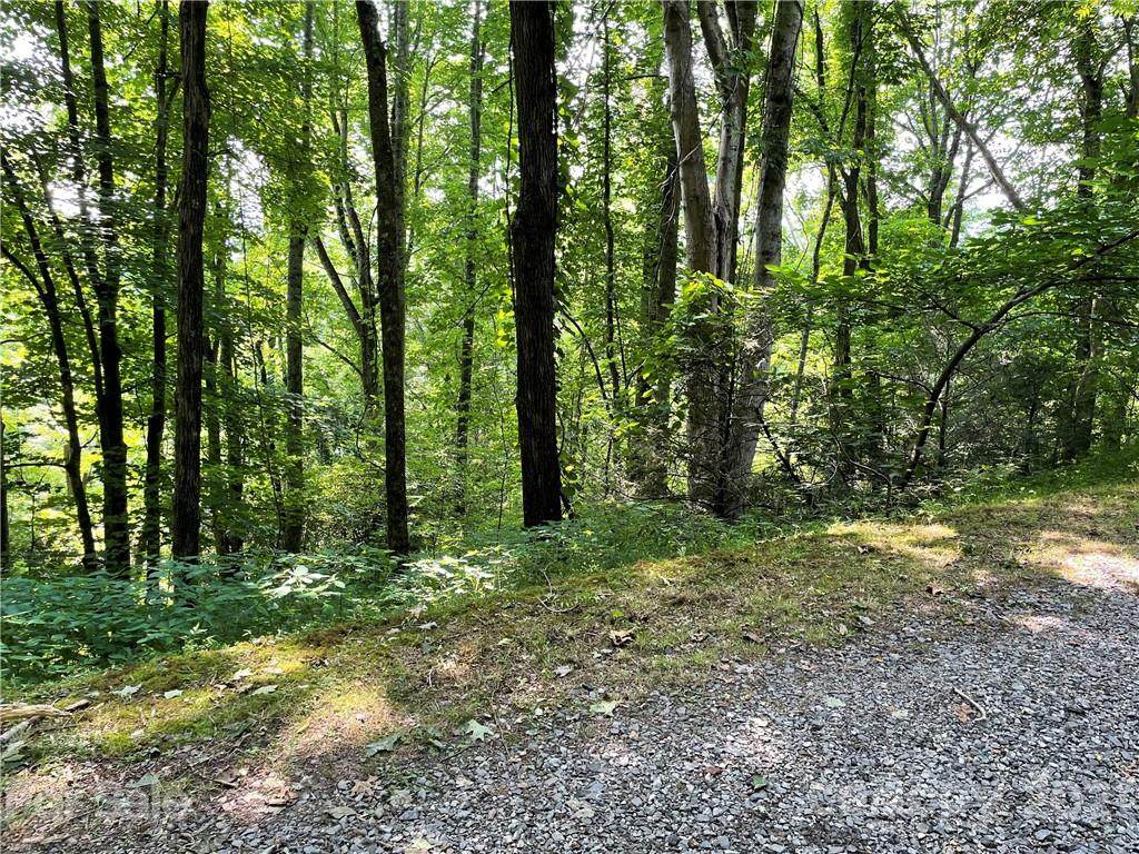00 Fox Run Road - Photo 1