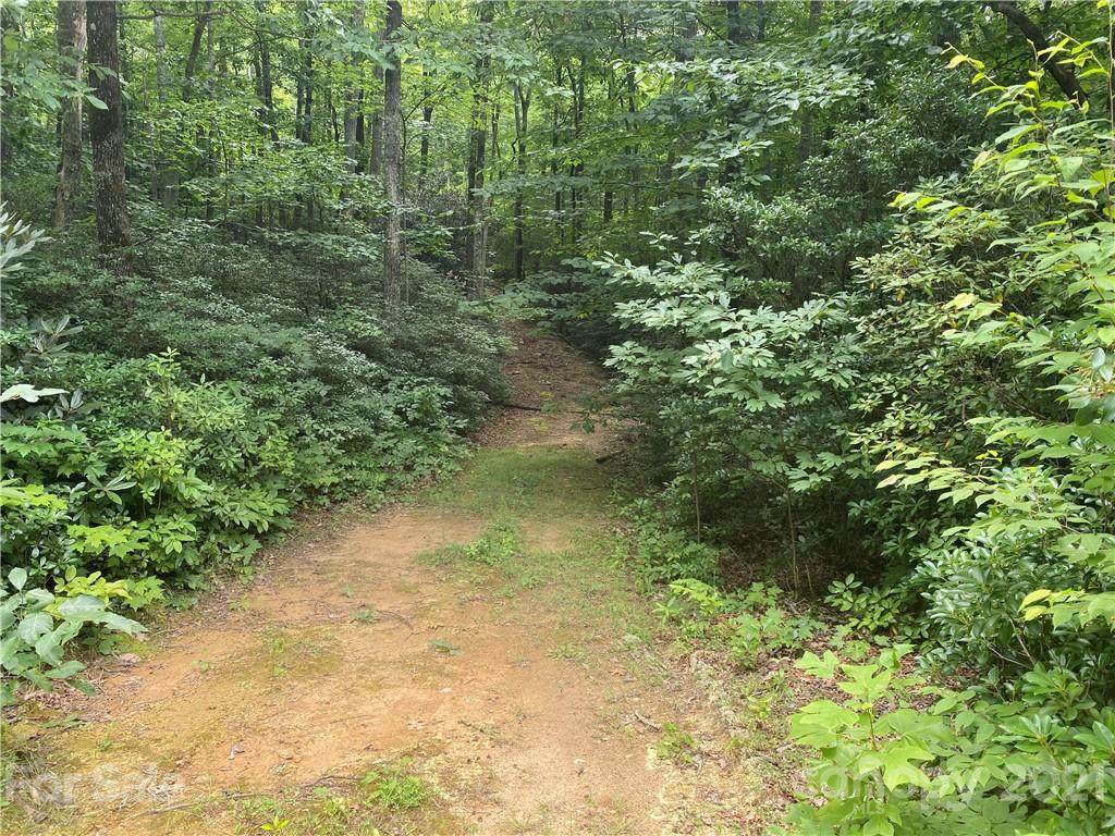 0000 Autumn Forest Drive - Photo 1