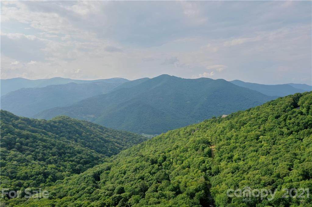 00 Olli Trail - Photo 1