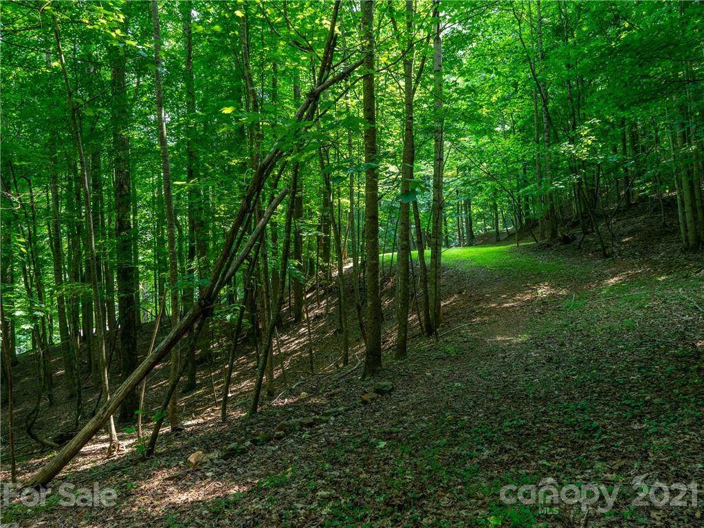 Lot 21 Celo Heights Way - Photo 1