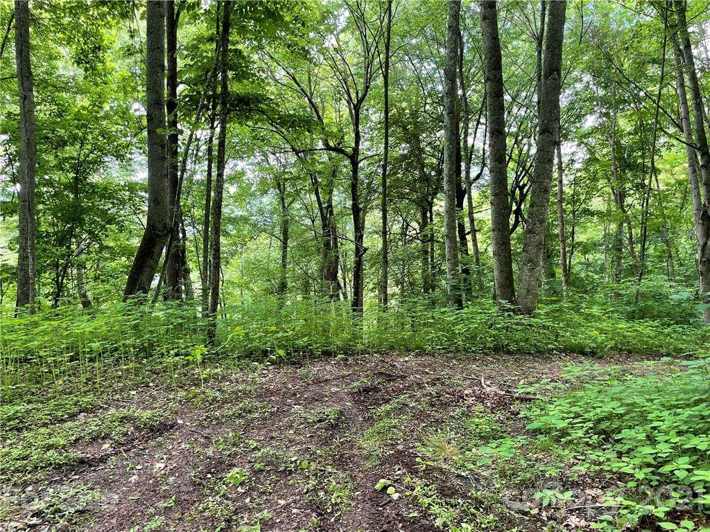 Lots 315 & 317 Mcguires Ridge - Photo 1