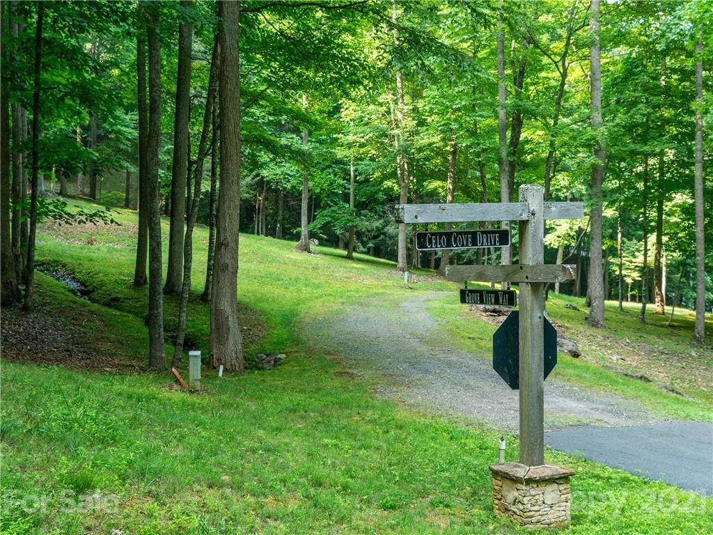Lot 47 Celo Heights Way - Photo 1