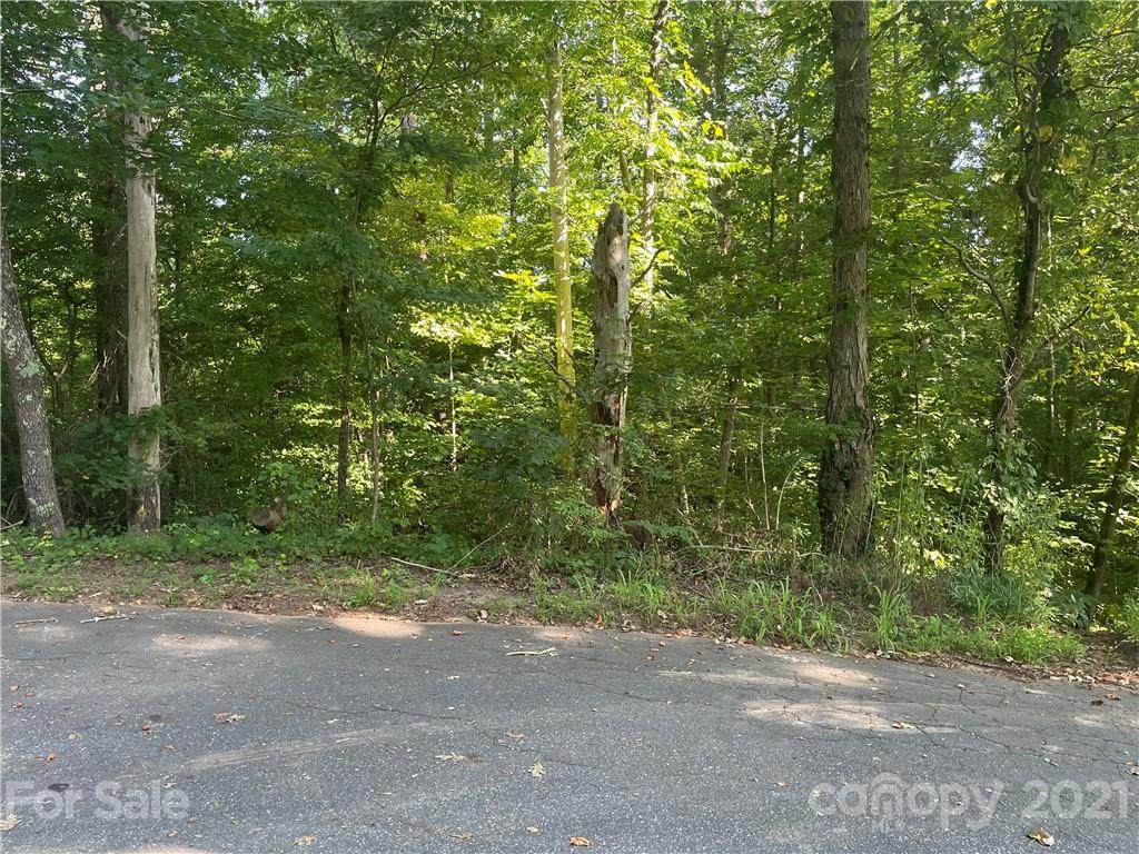 0 Woodland Avenue - Photo 1