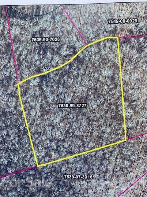 VL 54 Mountain Forest Estates Road - Photo 1