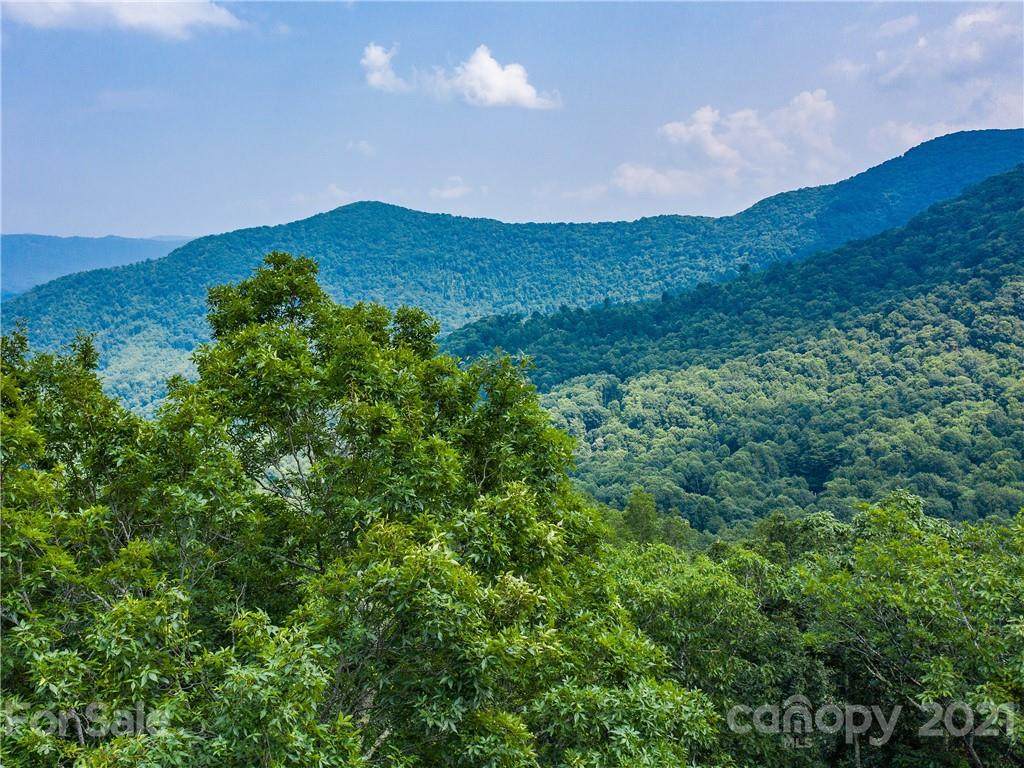 Lot 15 Celo Heights Way - Photo 1