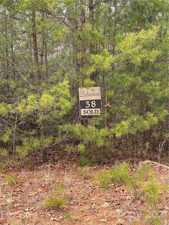 Lot #38 Cove Forest Road - Photo 1