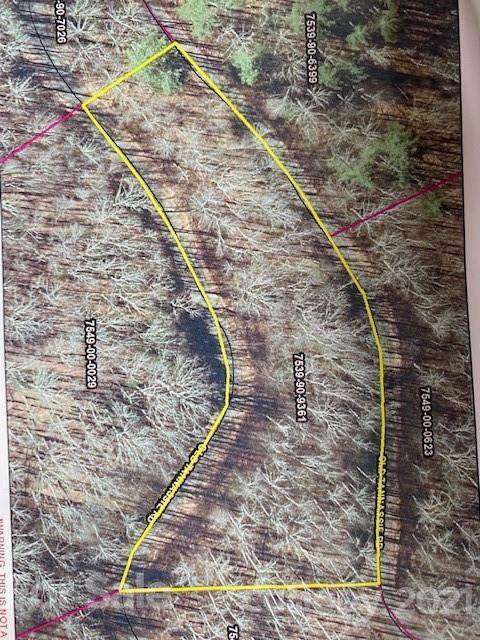 Lot 48 Mountain Forest Estates Road - Photo 1