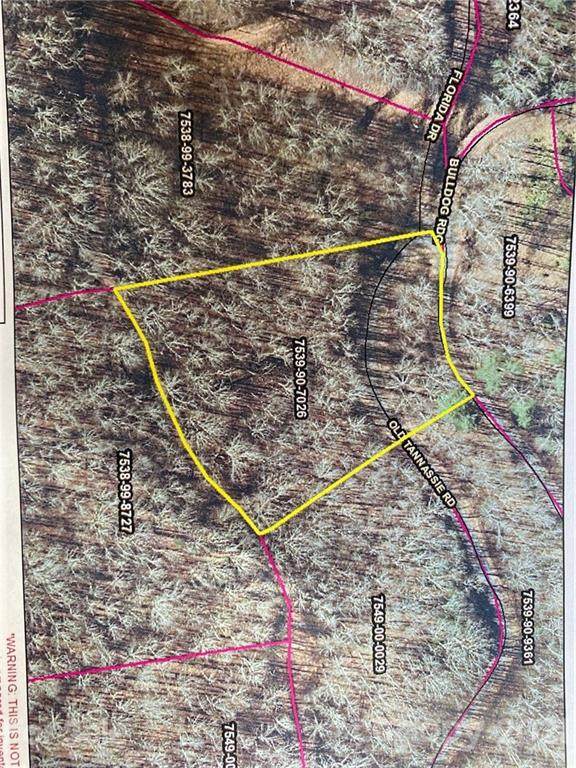 Lot 28 Mountain Forest Estates Road - Photo 1