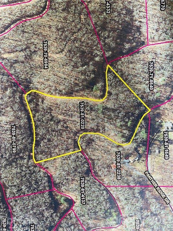 Lot 68 Mountain Forest Estates Road - Photo 1