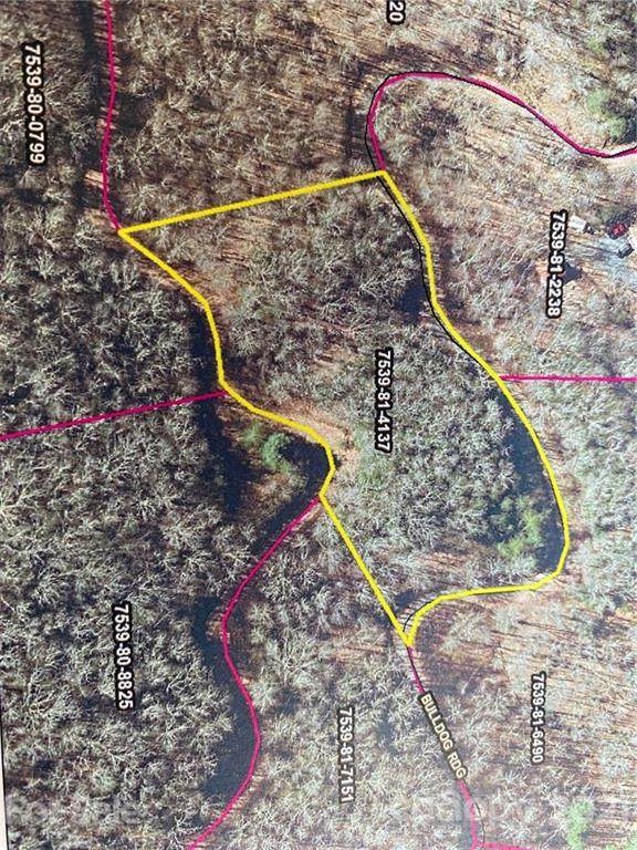 Lot 67 Mountain Forest Estates Road - Photo 1