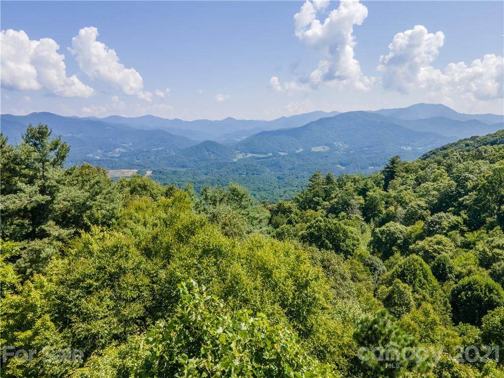 111 Digging Seng Trail - Photo 1