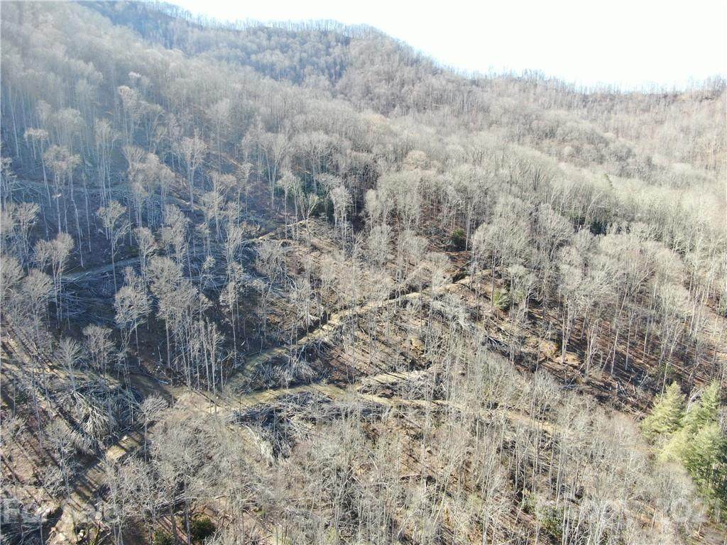 1102 Cattail Creek Road - Photo 1