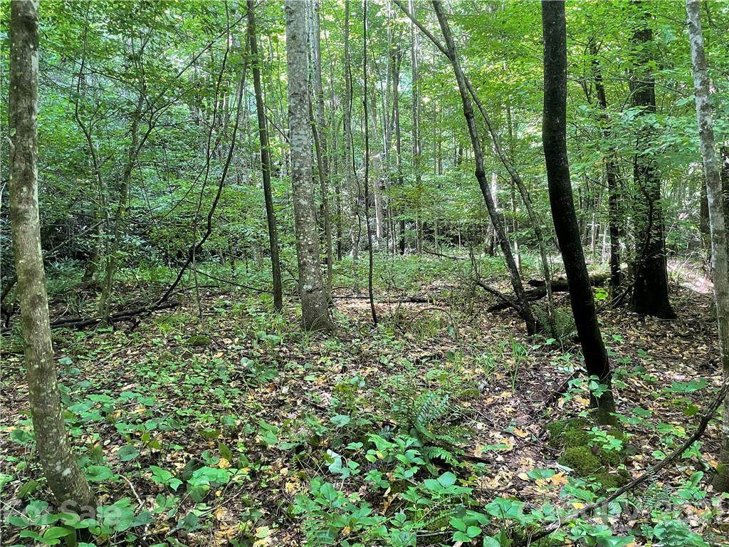 Lot 946 Lake Road - Photo 1