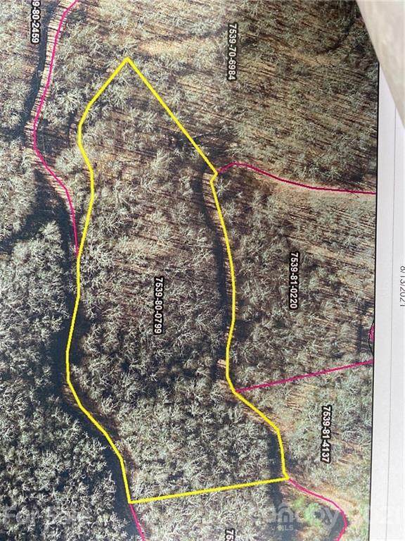 Lot 66 Mountain Forest Estates Road - Photo 1