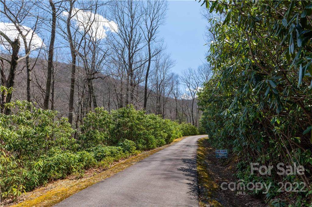 00 Rosemary Lane - Photo 1