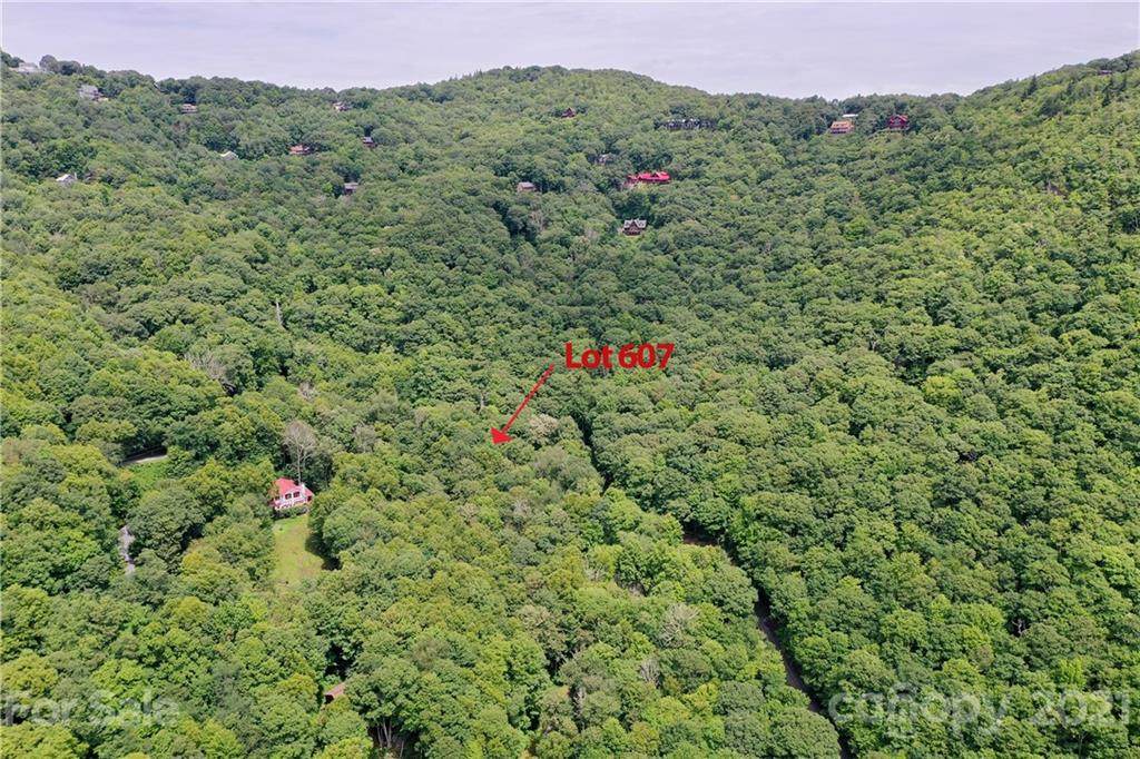 00 Laurel Ridge Road - Photo 1
