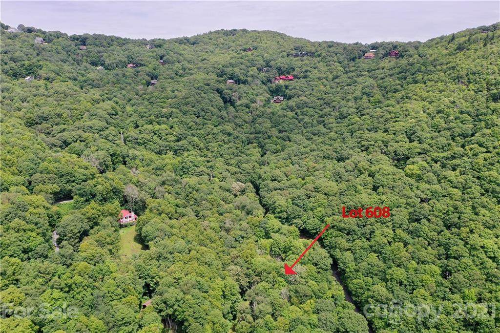 00 Laurel Ridge Road - Photo 1