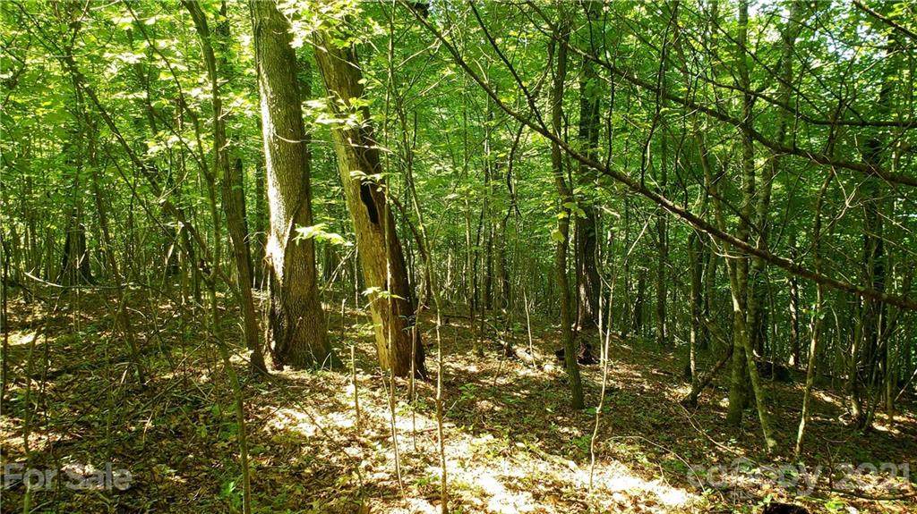 000 Caney Fork Road - Photo 1