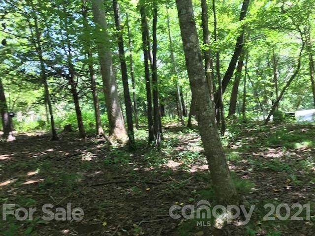 48 Shenandoah Road - Photo 1