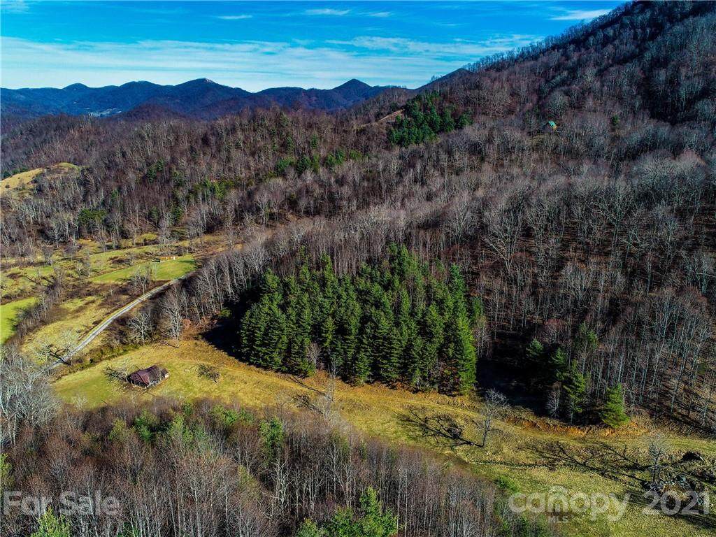230 Split Pine Cove - Photo 1