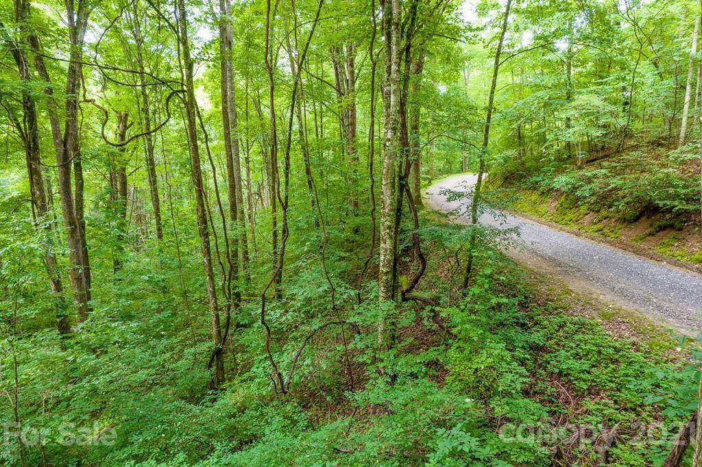 Lot 34 Rainbow Trout Drive - Photo 1