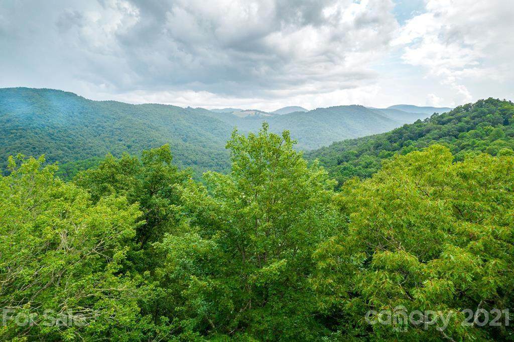 Lot 14 Forest View Lane - Photo 1