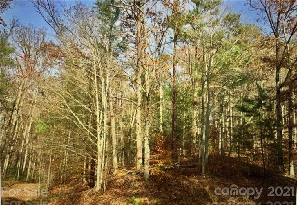 708 White Water Way - Photo 1