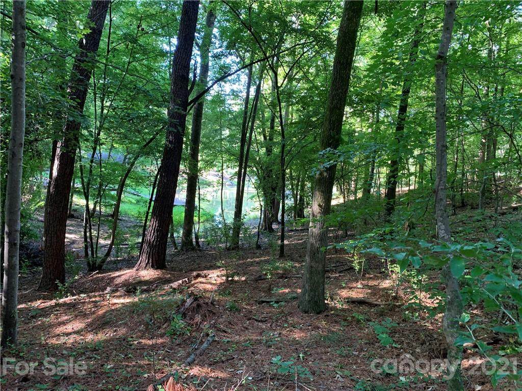 15435 Northern Lights Road - Photo 1
