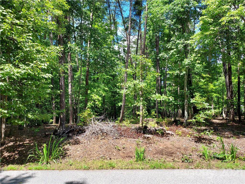 2.54 Acres Club Road - Photo 1