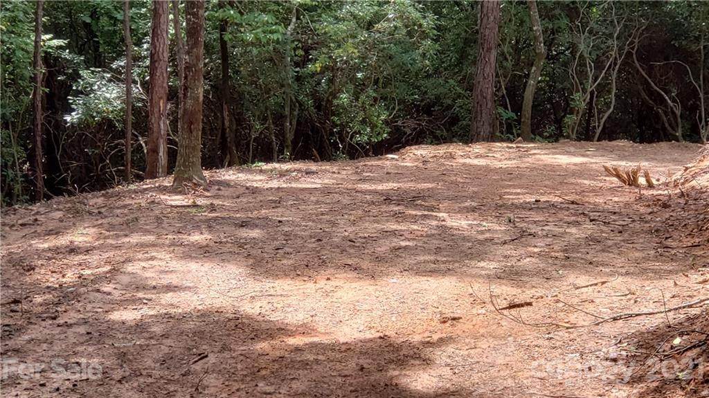 TBD Duff Cove Road - Photo 1