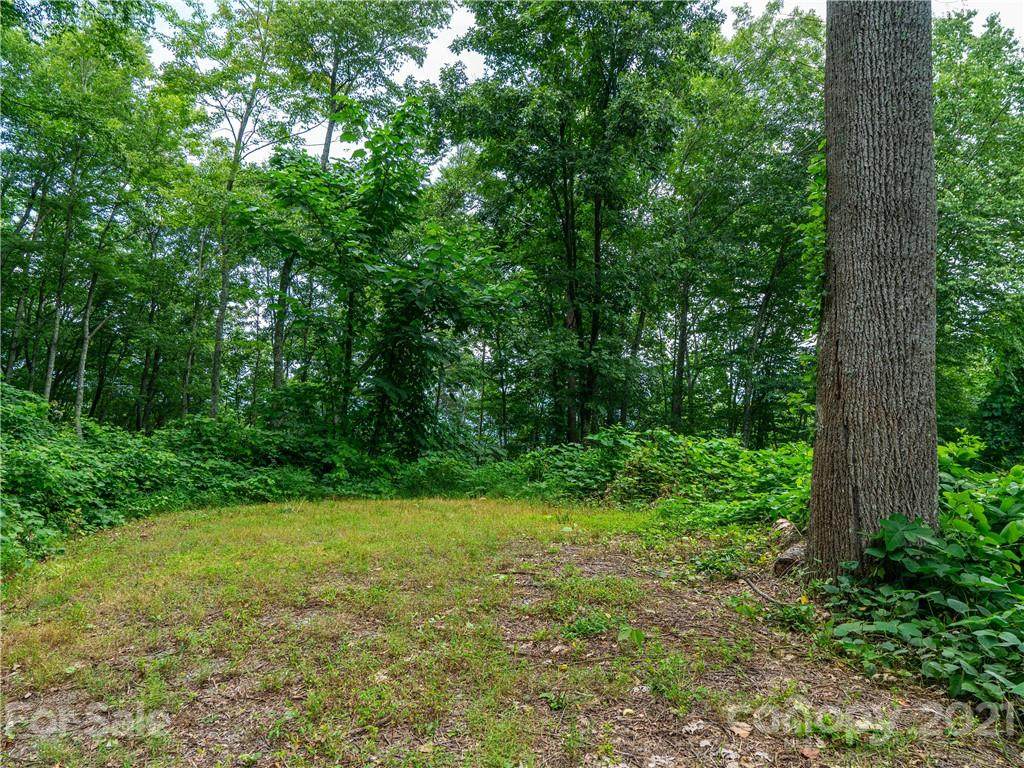45 Flora Rose Trail - Photo 1
