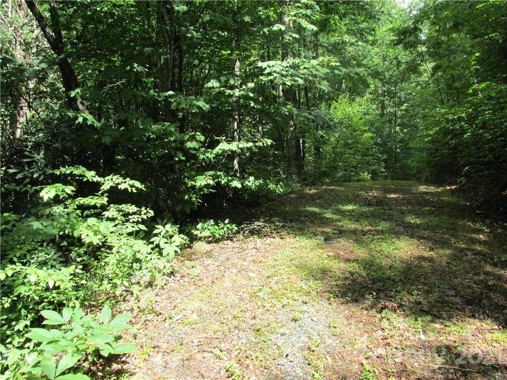 1530 Parris Branch Road - Photo 1