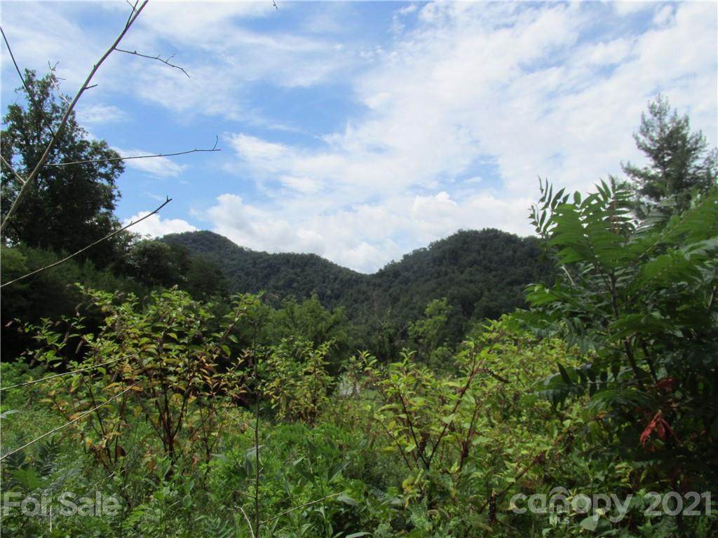 Lot 30 Hooper Cemetery Road - Photo 1
