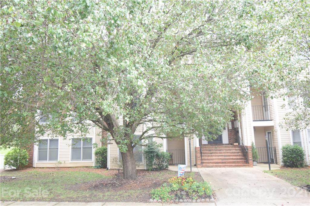 10242 Rose Meadow Lane - Photo 1