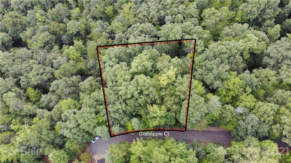 0 Crabapple Court - Photo 1