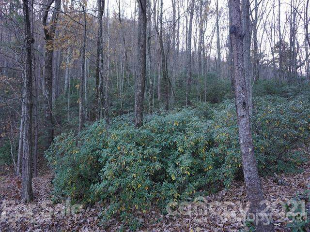 000 Thrush Court - Photo 1
