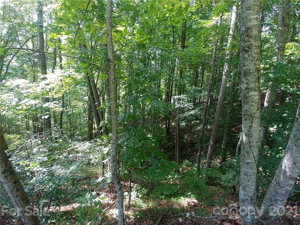00 Peterson Lane - Photo 1