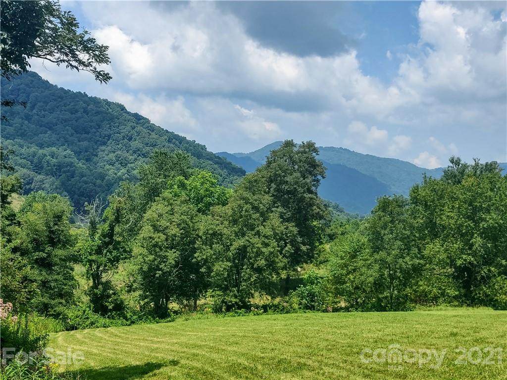 99999 Split Pine Cove - Photo 1