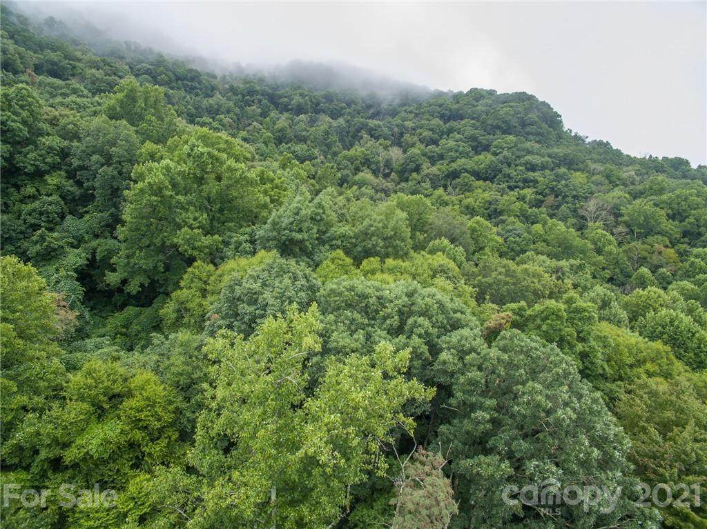 99999 Split Pine Cove - Photo 1
