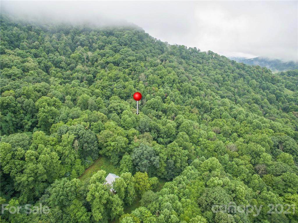 99999 Split Pine Cove - Photo 1