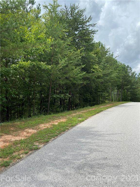 LOT 30 Deep Gap Farm Road - Photo 1