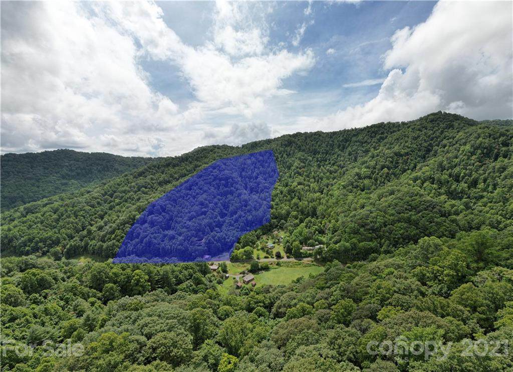 2193 Foster Creek Road - Photo 1